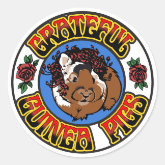 Adesivo Redondo Grateful Guiné Pig