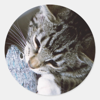 Adesivo Redondo gravidez com rato