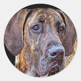 Adesivo Redondo "Great dane "