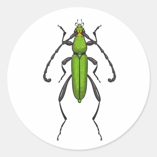 Adesivo Redondo Green beetle (Frente)