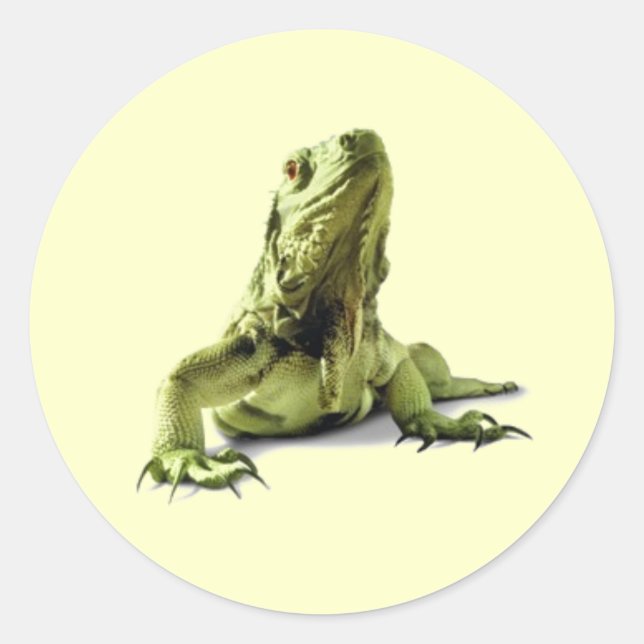 Adesivo Redondo Green Iguana Stickers (Frente)