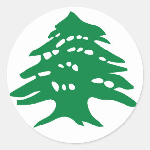 Adesivo Redondo Green Lebanon Cedar Tree