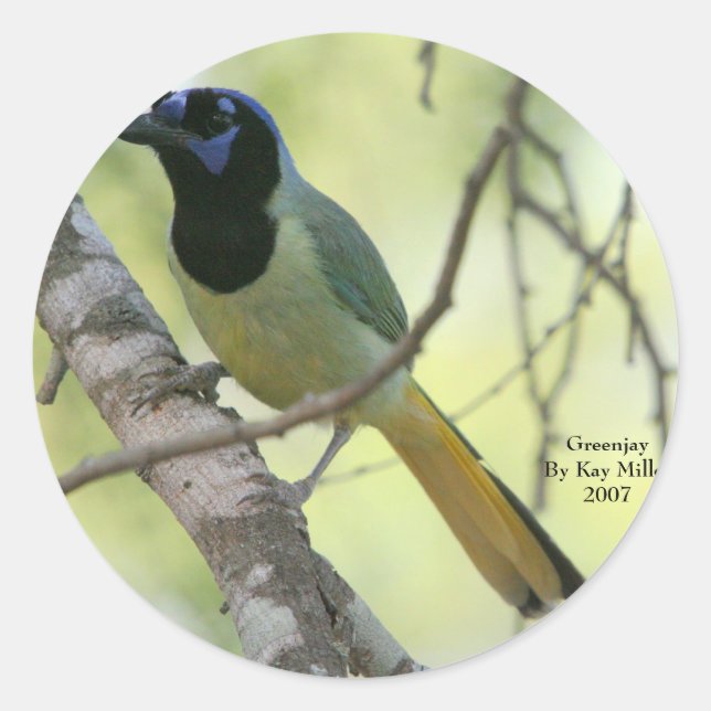 Adesivo Redondo GreenjayBy Kay Miller2007 (Frente)