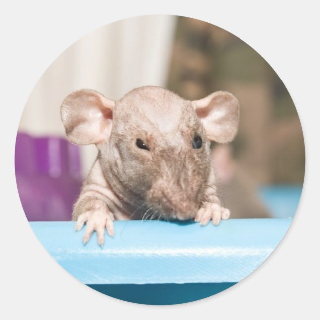 Adesivo Redondo gremlin (Frente)