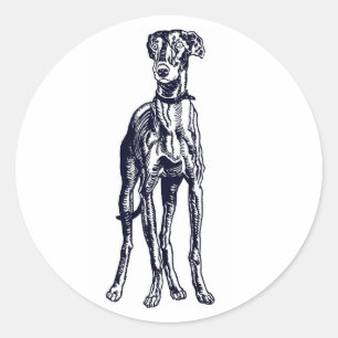 Adesivo Redondo Greyhound Breed Inglês