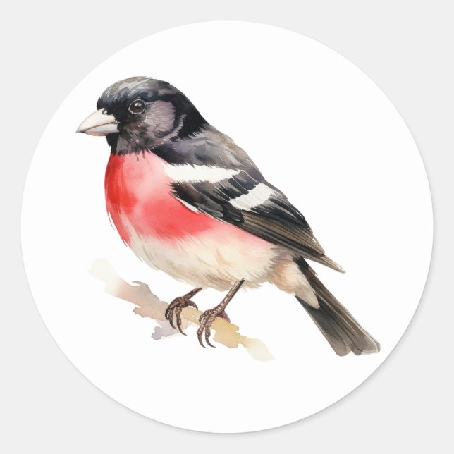 Adesivo Redondo Grosbeak mestiço de pássaro (Frente)