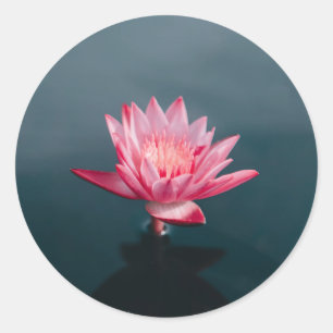 Adesivo Redondo Grupo de cartão cor-de-rosa da flor