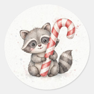 Adesivo Redondo Guaxinim segurando um grande Candy Cane Clássico