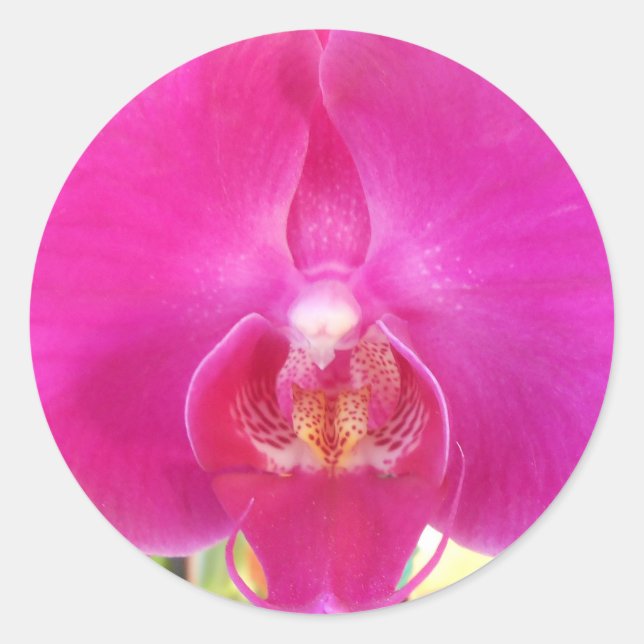 Adesivo Redondo Guda (Frente)