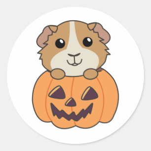 Adesivo Redondo Guiné Pumpkin Doce Animais Feliz Halloween C