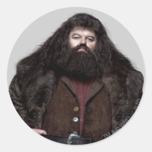 Adesivo Redondo Hagrid e Cão