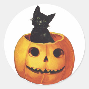 Adesivo Redondo Halloween Antigo, Gato Preto Fofo em uma Abóbora