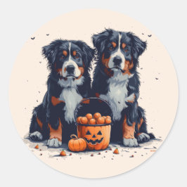 Adesivo Redondo Halloween Bernese Mountain Dogs Pumpkin