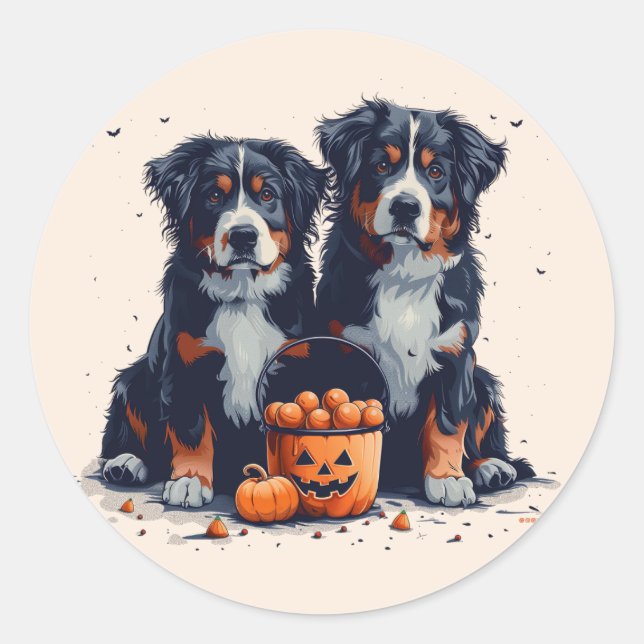 Adesivo Redondo Halloween Bernese Mountain Dogs Pumpkin (Frente)