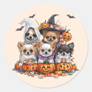 Adesivo Redondo Halloween Chihuahua Dogs