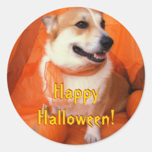 Adesivo Redondo Halloween Corgi Stickers