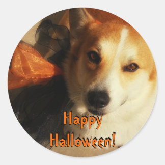Adesivo Redondo Halloween Corgi Stickers