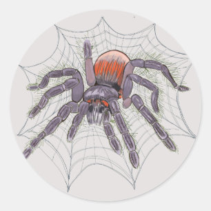 Adesivo Redondo Halloween Spider — Divertimento assustador