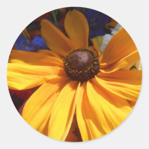 Adesivo Redondo Halse