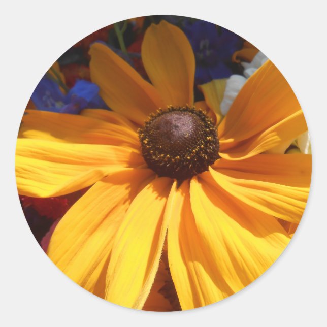 Adesivo Redondo Halse (Frente)