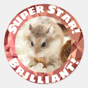 Adesivo Redondo Hammyville - Encorajamento Gelado do Hamster