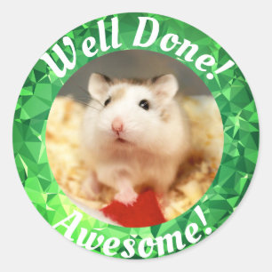 Adesivo Redondo Hammyville - Encorajamento Gelado do Hamster