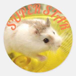 Adesivo Redondo Hammyville - Estrela de Hamster Bonita