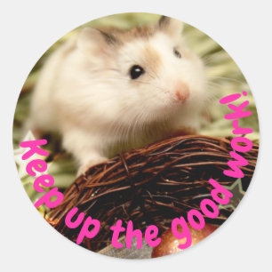 Adesivo Redondo Hammyville - Hamster Bonito Continue Trabalhando