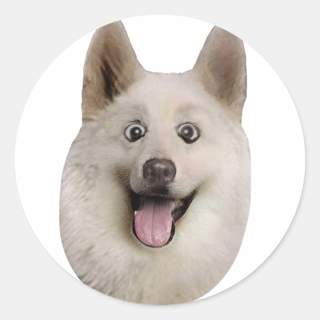 Adesivo Redondo Happy_Dog_Mult_Products (Frente)