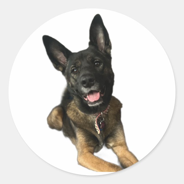 Adesivo Redondo Happy German Shepard style dog sticker (Frente)