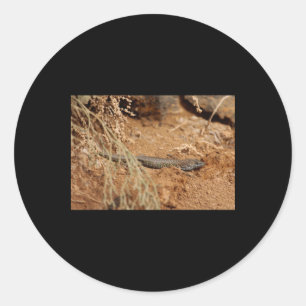 Adesivo Redondo Haria Lizard Nature lança Fuerteventura Sticker