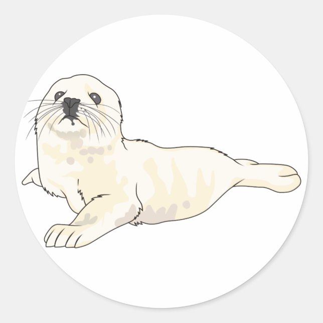 Adesivo Redondo Harp Seal Pup (Frente)
