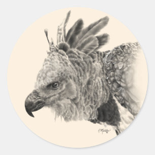 Adesivo Redondo Harpy Eagle Drawing