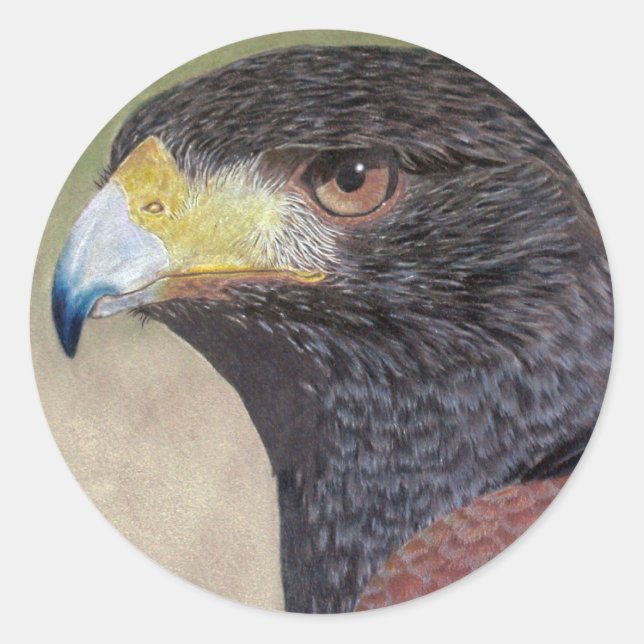 Adesivo Redondo Harris Hawk-cp (Frente)