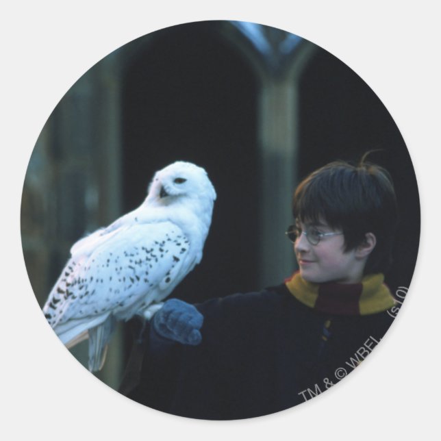 Adesivo Redondo Harry e Hedwig 2 (Frente)