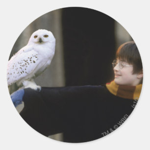 Adesivo Redondo Harry e Hedwig 3
