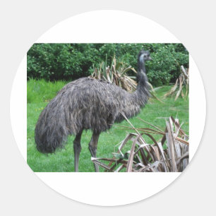 Adesivo Redondo Harvey