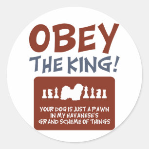 Adesivo Redondo Havanese