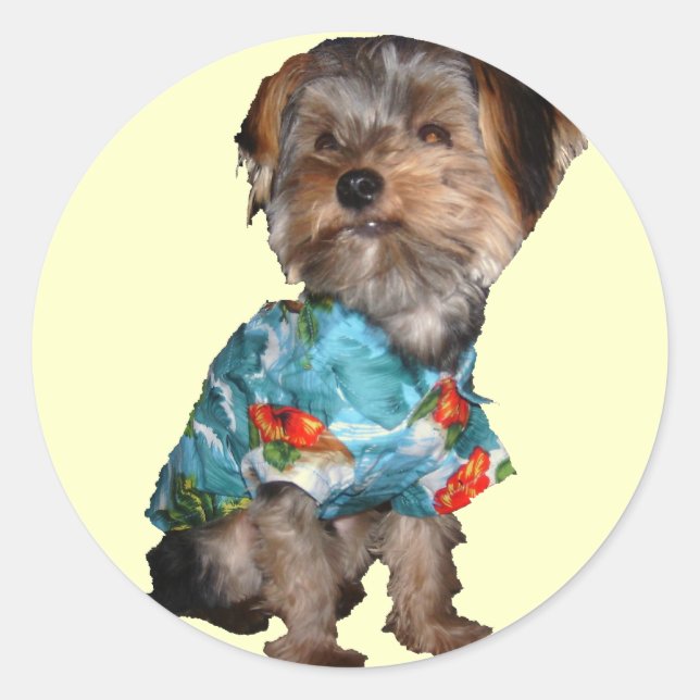 Adesivo Redondo Hawaiian Yorkie Sticker (Frente)