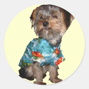 Adesivo Redondo Hawaiian Yorkie Sticker
