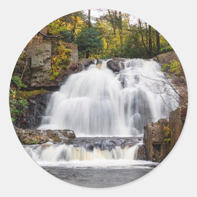 Adesivo Redondo Hawk Cai no outono (Frente)