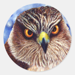 Adesivo Redondo Hawk Stickers