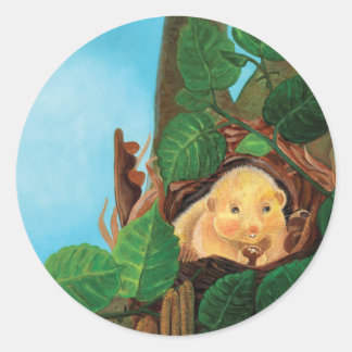 Adesivo Redondo Hazel dormouse comendo avelã