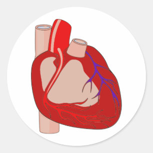 Adesivo Redondo Hearted grande