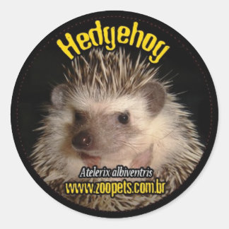 Adesivo Redondo hedgehog