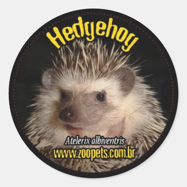 Adesivo Redondo hedgehog (Frente)