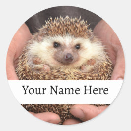 Adesivo Redondo Hedgehog em mãos Foto