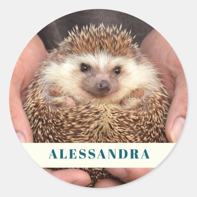 Adesivo Redondo Hedgehog em mãos Foto (Frente)