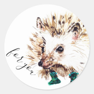 Adesivo Redondo Hedgehog em Meias