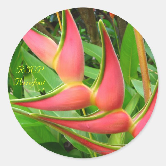 Adesivo Redondo Heliconia RSVP — Focos de Envelope Tropical (Frente)